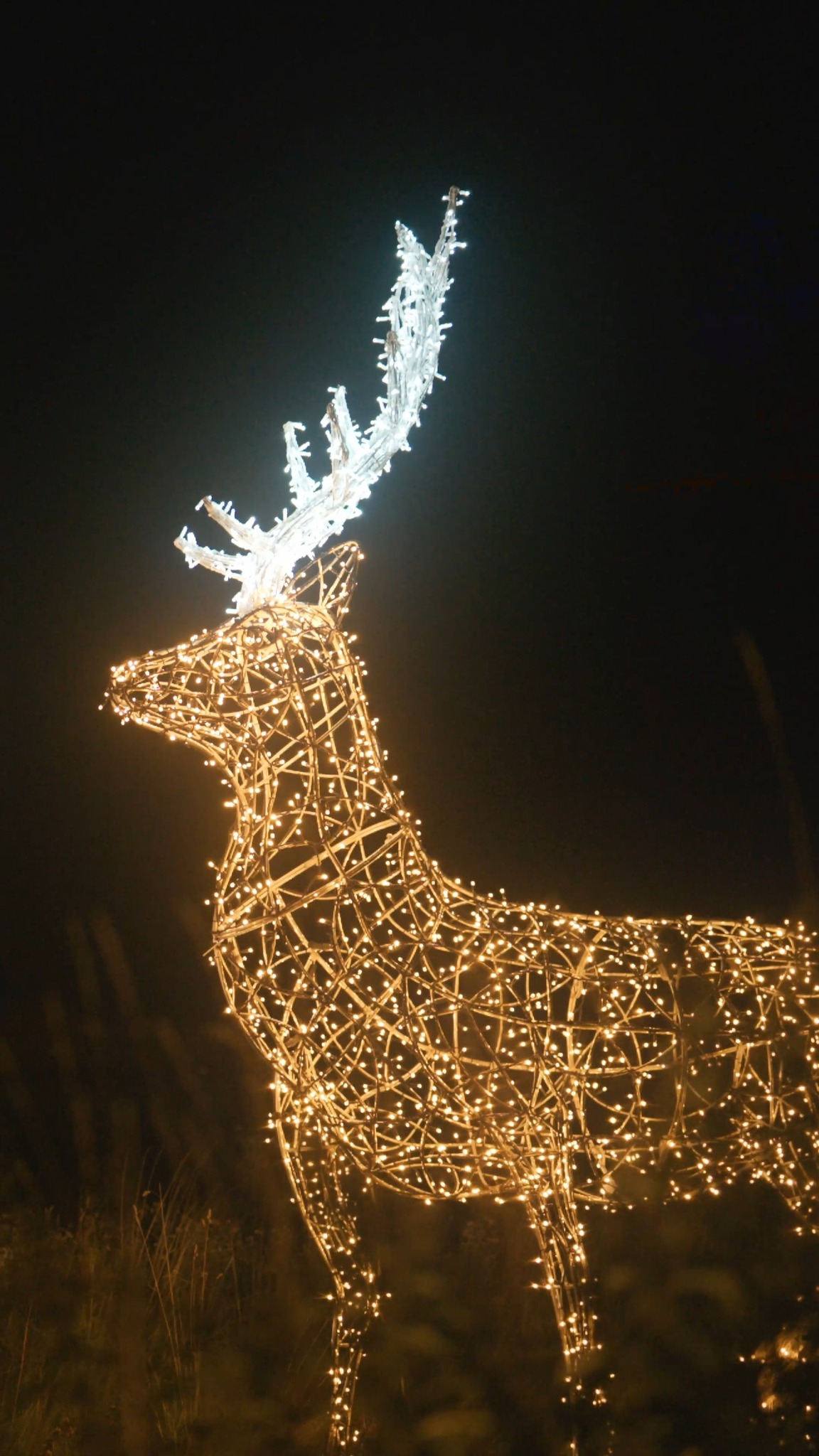 Příspěvek #storyoflights