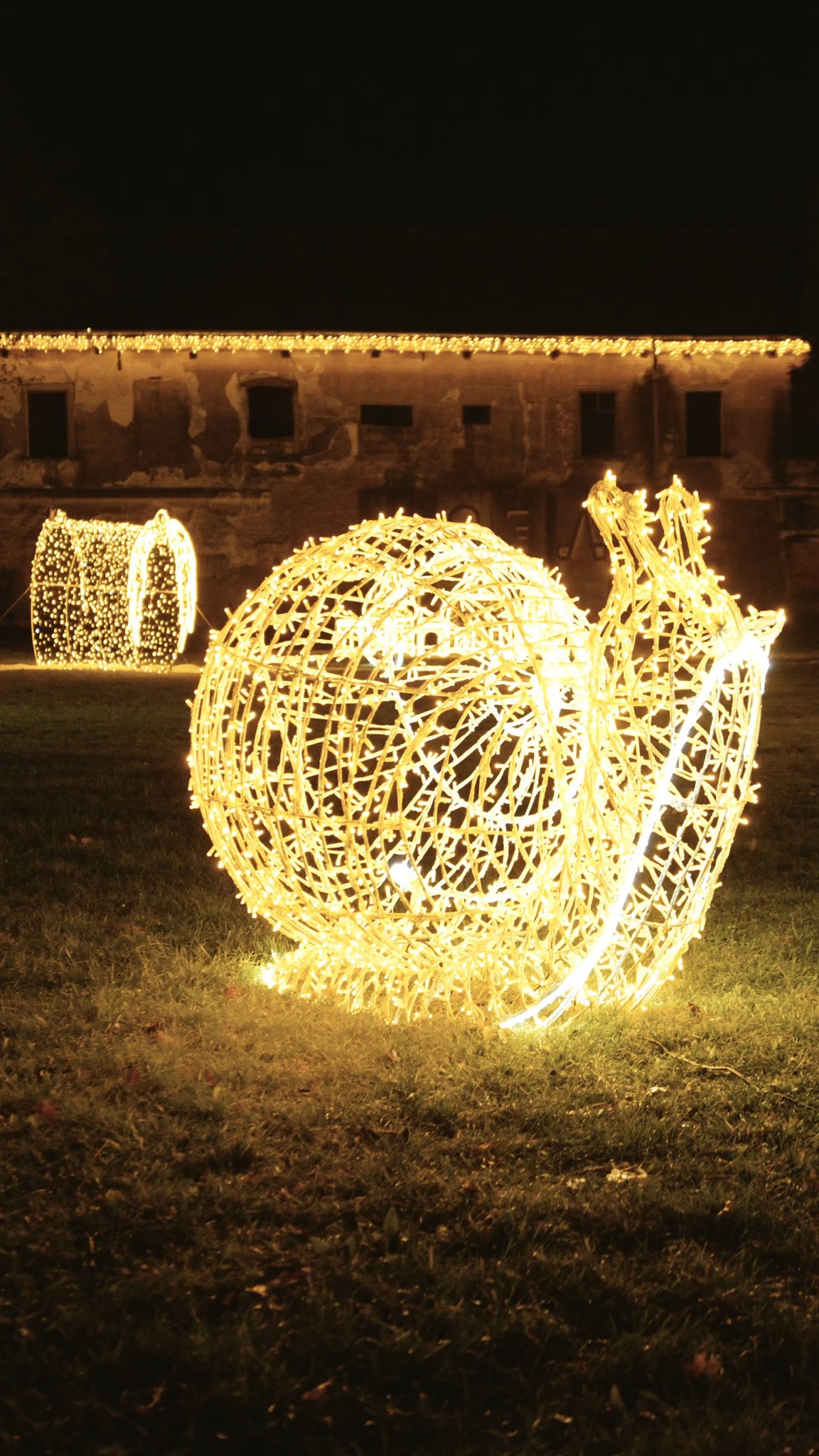 Příspěvek #storyoflights