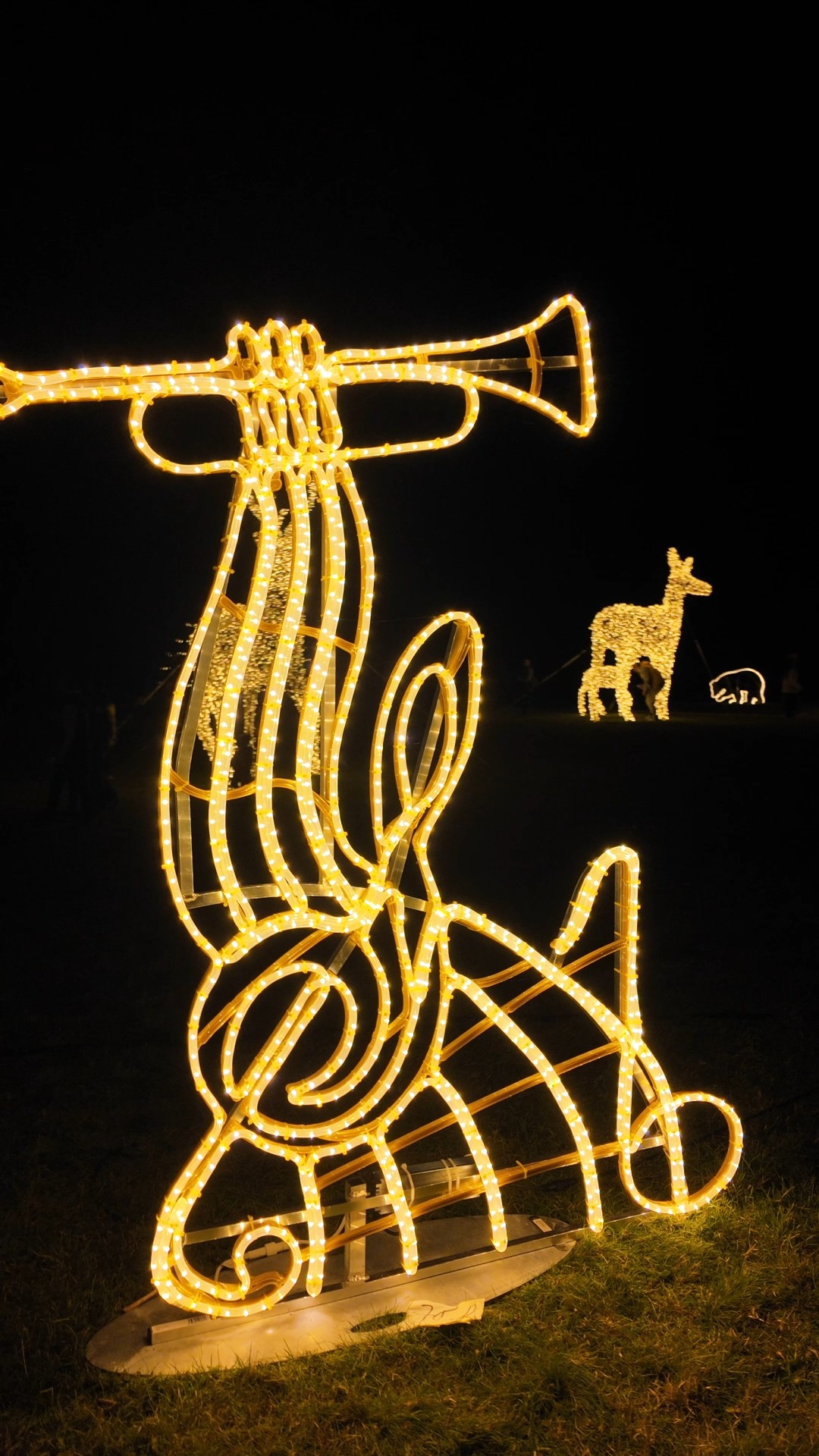 Příspěvek #storyoflights