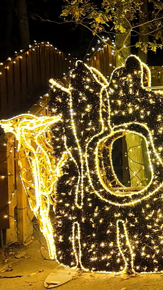 Příspěvek #storyoflights