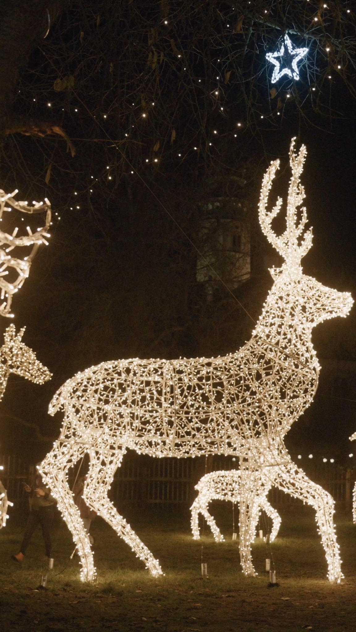 Příspěvek #storyoflights