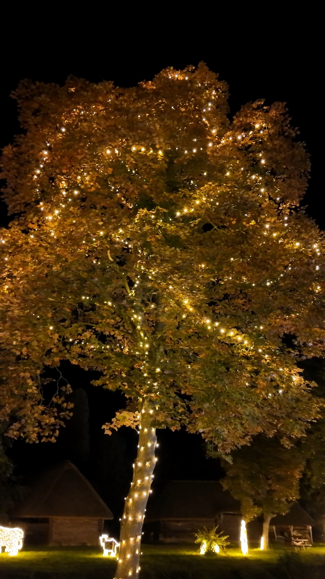 Příspěvek #storyoflights