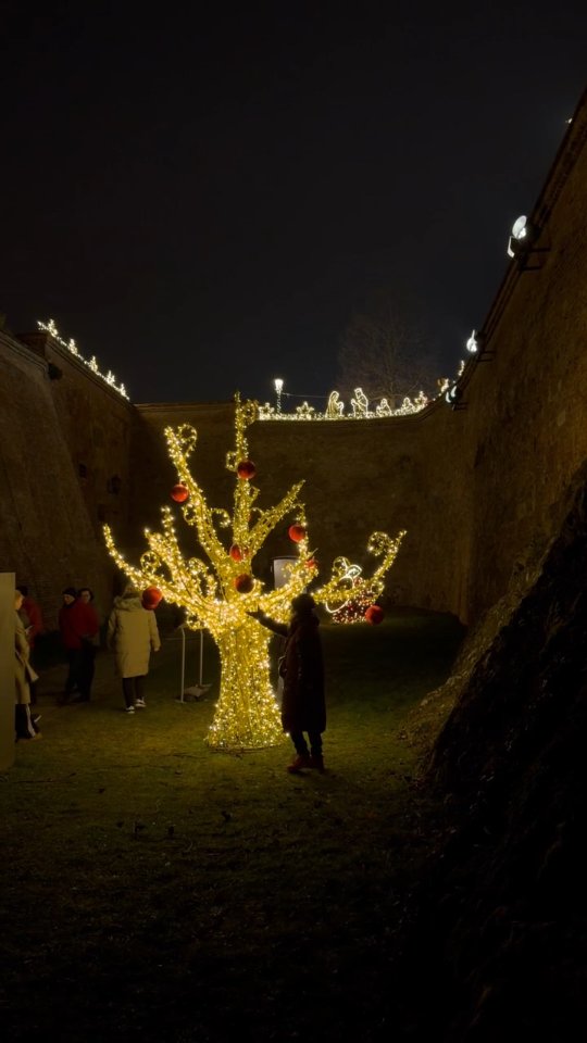 Příspěvek #storyoflights