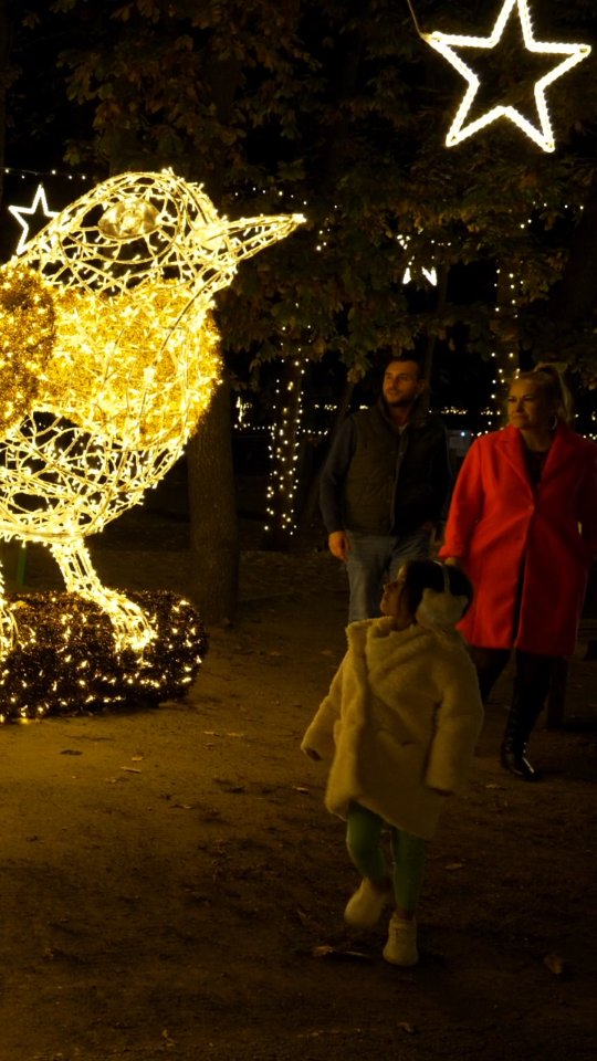 Příspěvek #storyoflights