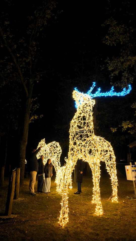 Příspěvek #storyoflights